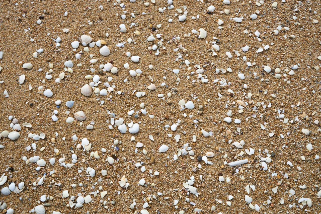 Apart@Costasantoandre Beach Santiago do Cacém Exterior foto