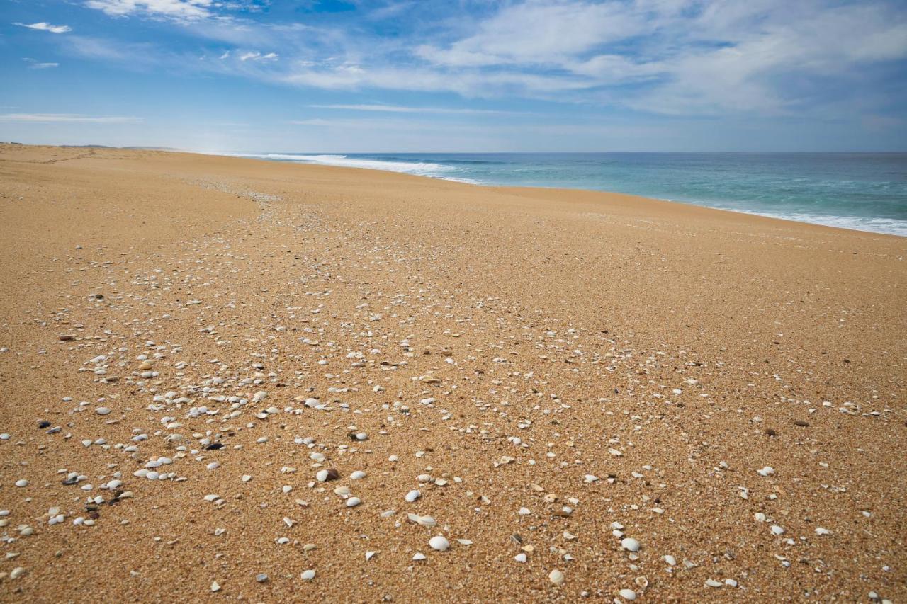 Apart@Costasantoandre Beach Santiago do Cacém Exterior foto